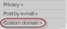 click on custom domain icon