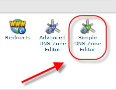 cpanel dns zimple editor 