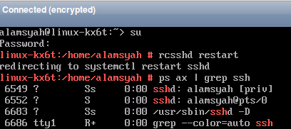 install OpenSUSE 13.1 Server in VPS using custom iso - start openbsd vps ssh server
